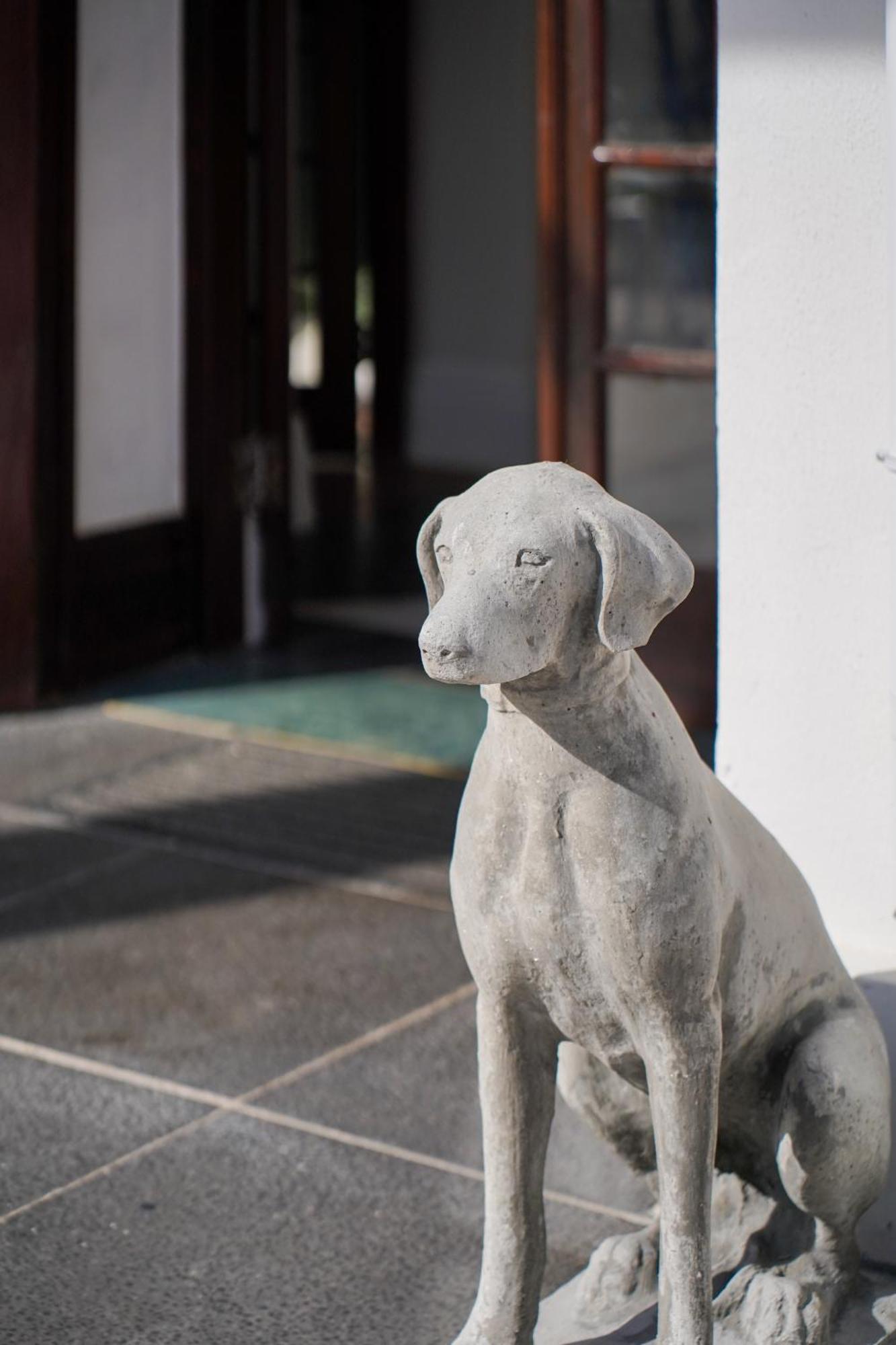 Wytham Manor House Hotel Cape Town Exterior photo